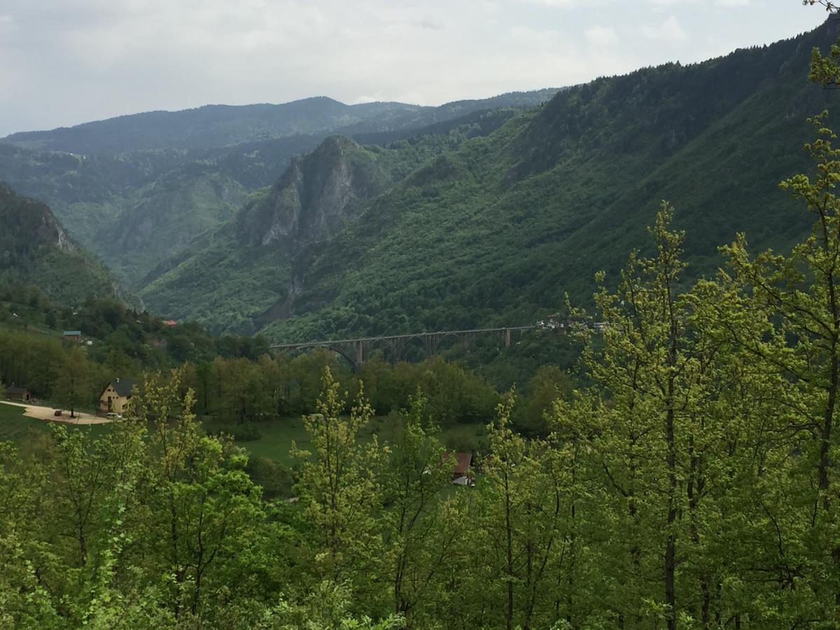 Villa Moutain View Žabljak Екстериор снимка